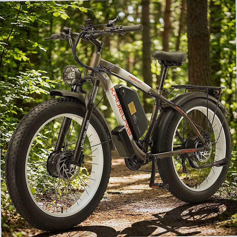 Peak 4000W Dual Motor 35MPH Oil Brake 21 Speed 23AH Electric Bicycle For Adult